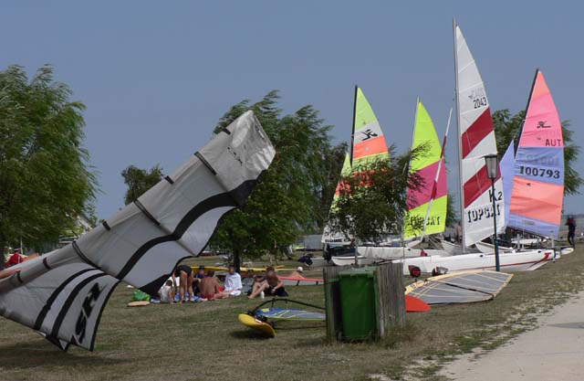 F452-Windsport am Neusiedlersee