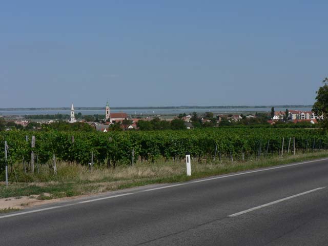 F500-Rust am Neusiedlersee