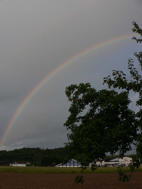 F970-Regenbogen (bei Steyr)