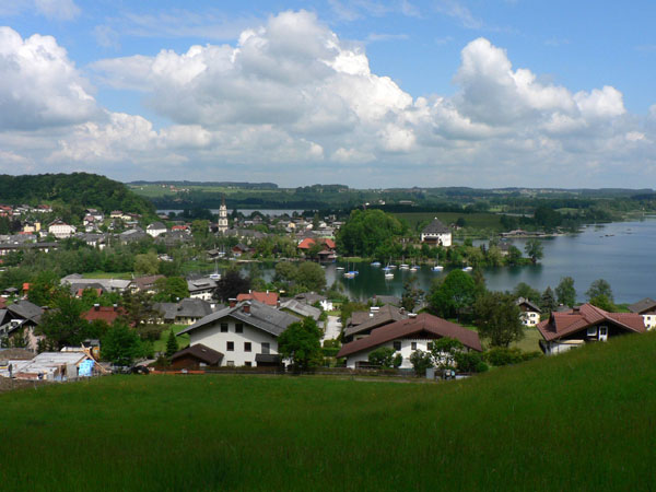 F810-Mattsee-Land Salzburg